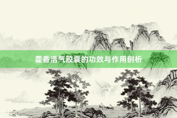 藿香浩气胶囊的功效与作用剖析