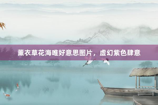 薰衣草花海唯好意思图片，虚幻紫色肆意