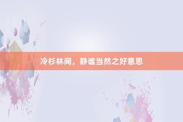 冷杉林间，静谧当然之好意思
