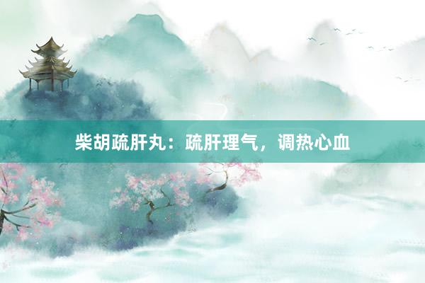 柴胡疏肝丸:疏肝理气,调热心血